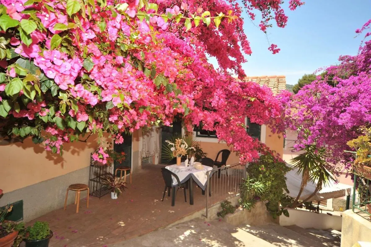 Il Comandante - Goelba Apartment Porto Azzurro Italy